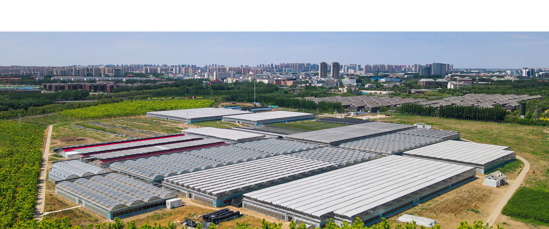 Modernized Floriculture Production Base